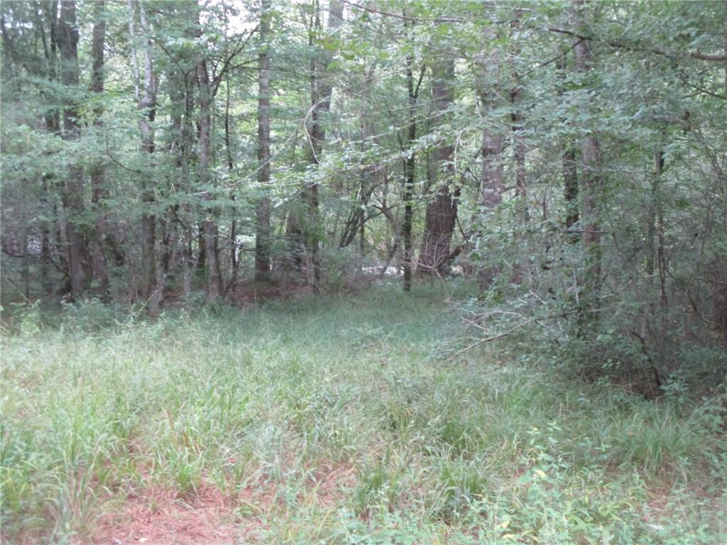 0 Belle Gardner Road Amite, LA 70422 - Photo 3 of 7