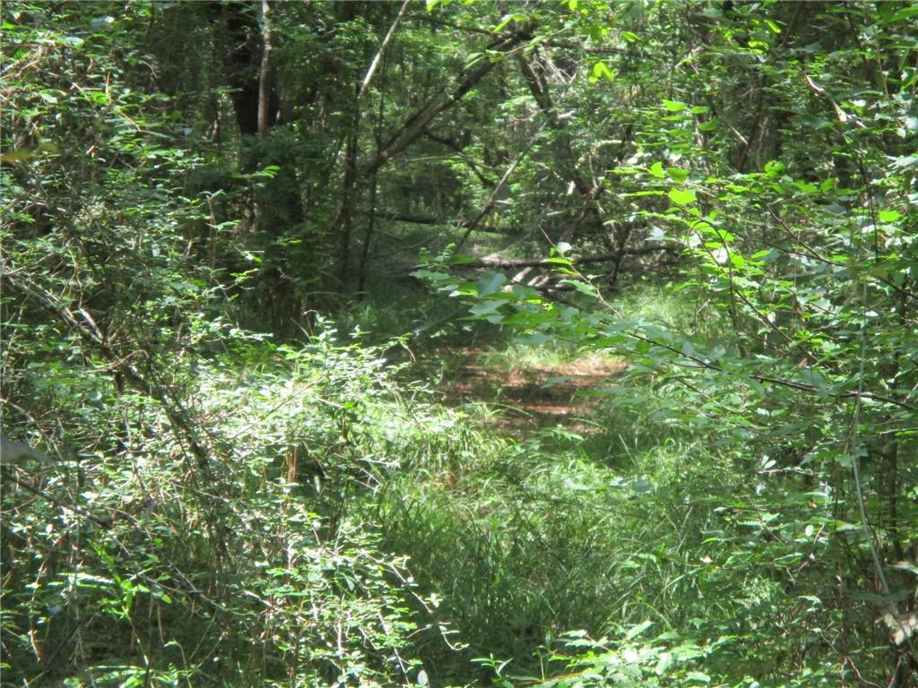 0 Belle Gardner Road Amite, LA 70422 - Photo 6 of 7