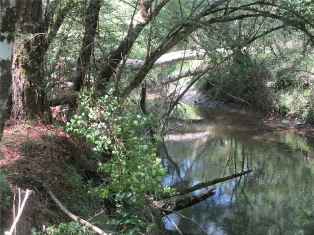 $723,600 | 0 Belle Gardner Road, Amite, LA 70422