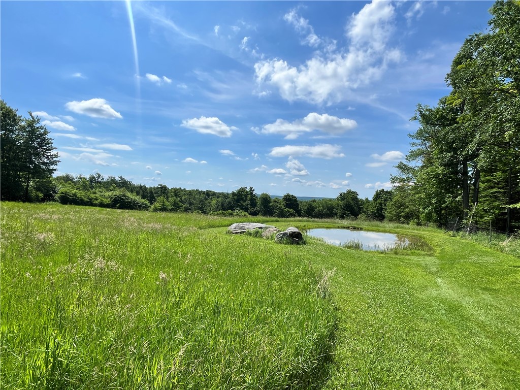 882 Alma Hill Road Alma, NY 14708 - Photo 30 of 46