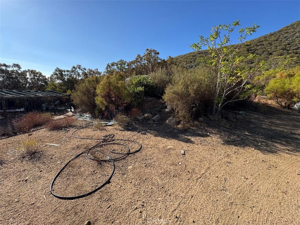 45740 Chapman Road Anza, CA 92539 - Photo 13 of 15 a view of a yard with a tree