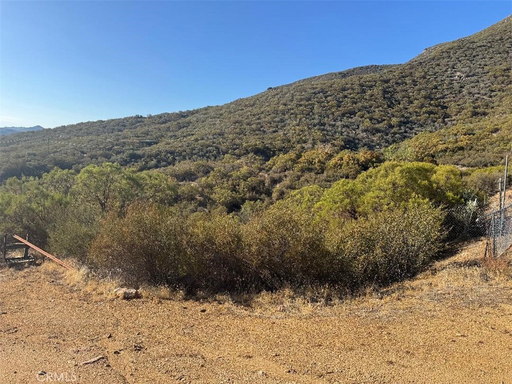 45740 Chapman Road Anza, CA 92539 - Photo 14 of 15 a view of a road with a snow in the background
