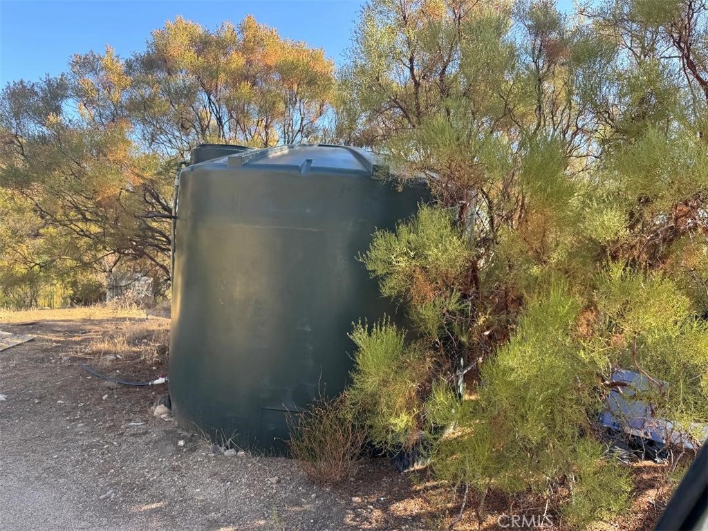 45740 Chapman Road Anza, CA 92539 - Photo 15 of 15 a view of a yard with plants and trees