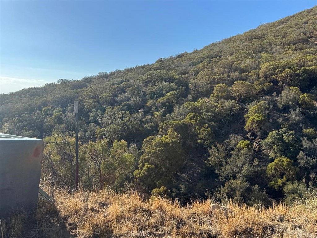 45740 Chapman Road Anza, CA 92539 - Photo 2 of 15 a view of a yard
