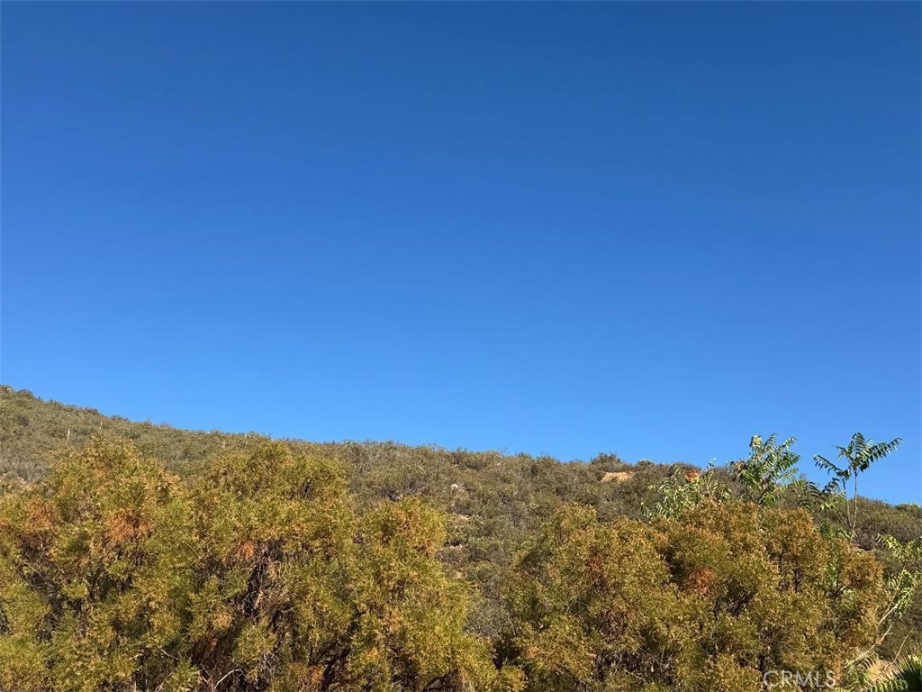 45740 Chapman Road Anza, CA 92539 - Photo 6 of 15 a view of a large mountain