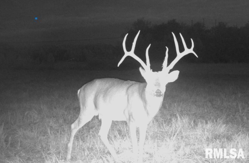 11339 Plumville Road Marion, IL 62959 - Photo 11 of 12