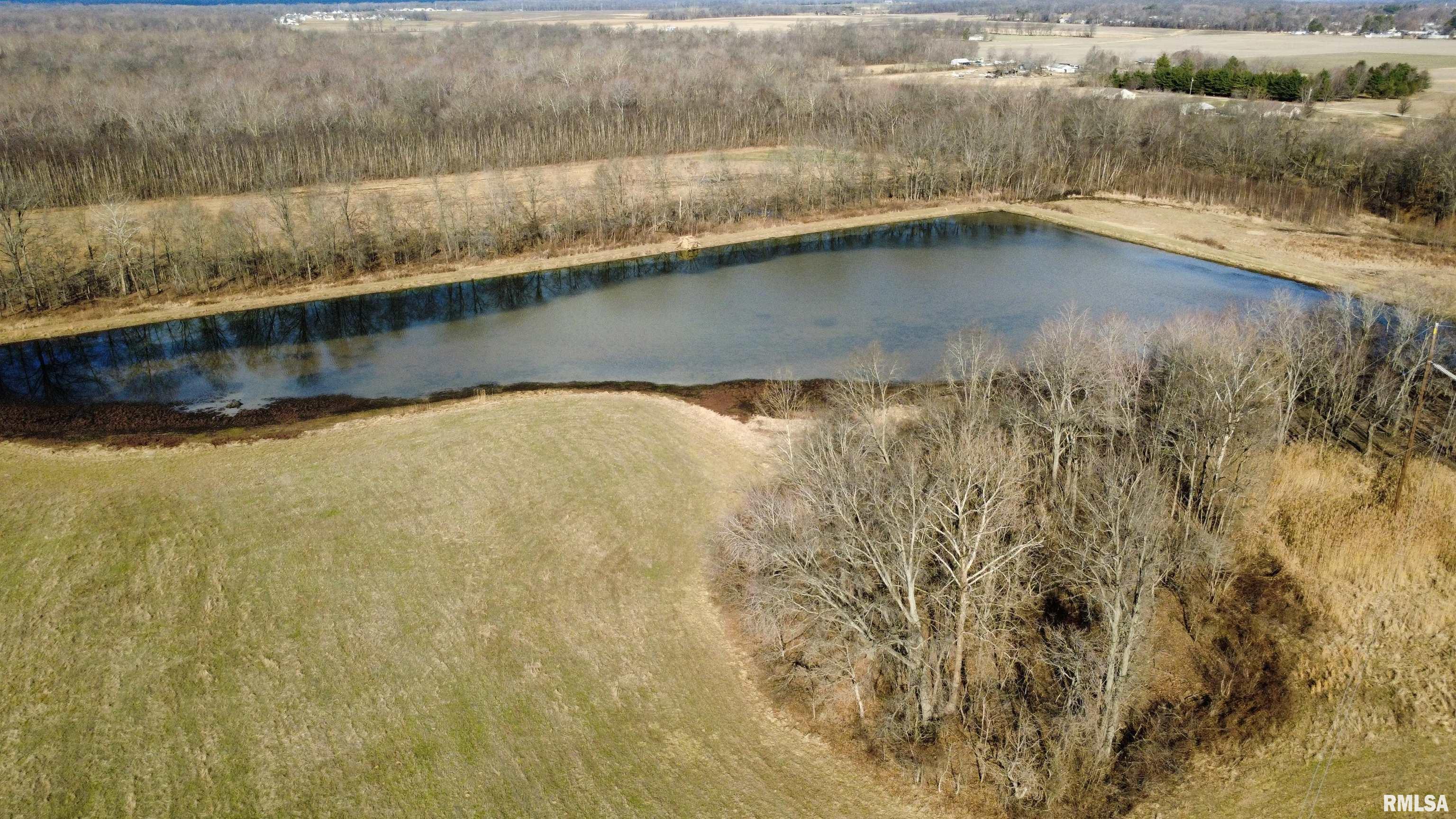 11339 Plumville Road Marion, IL 62959 - Photo 3 of 12