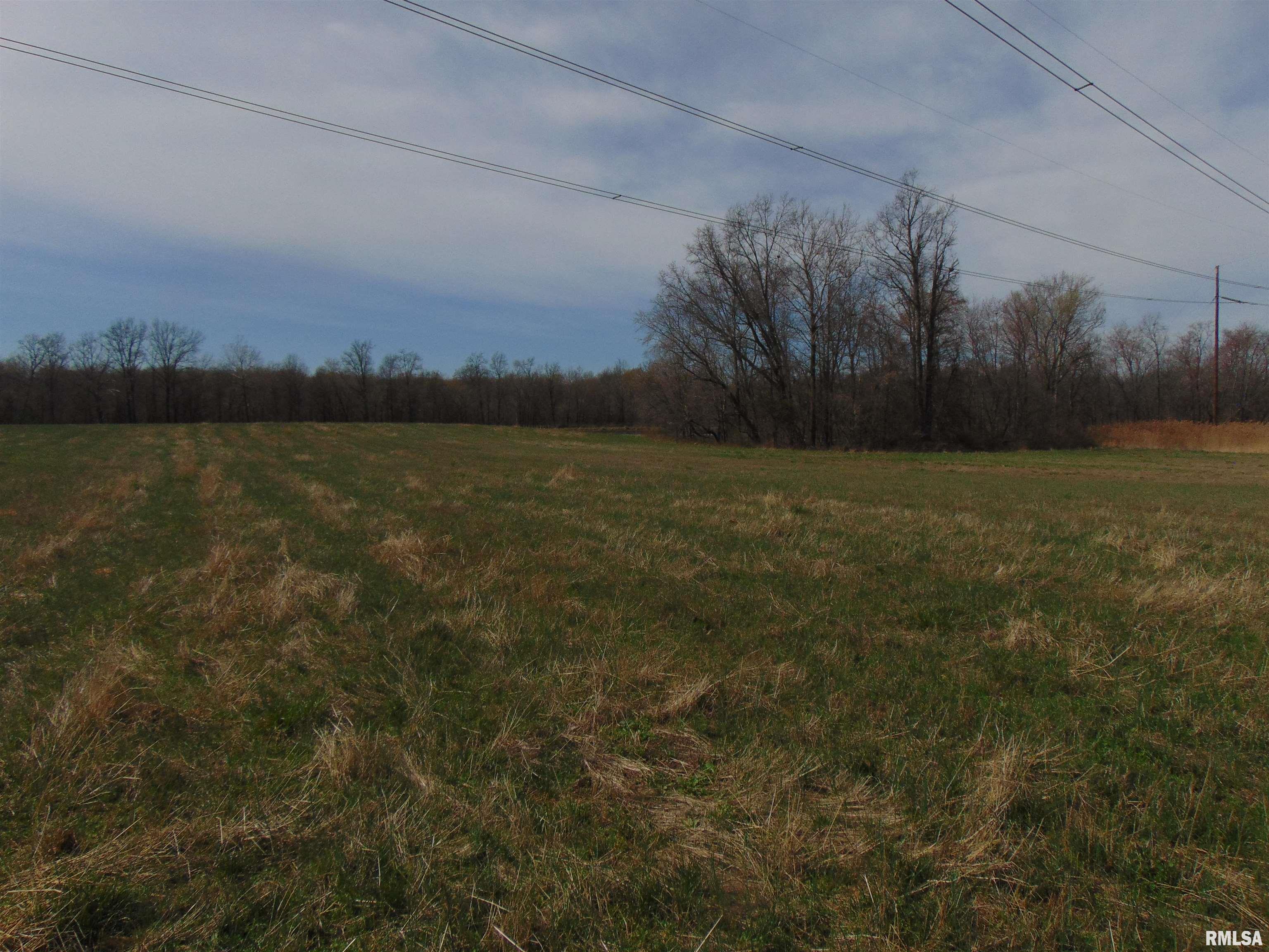 11339 Plumville Road Marion, IL 62959 - Photo 4 of 12