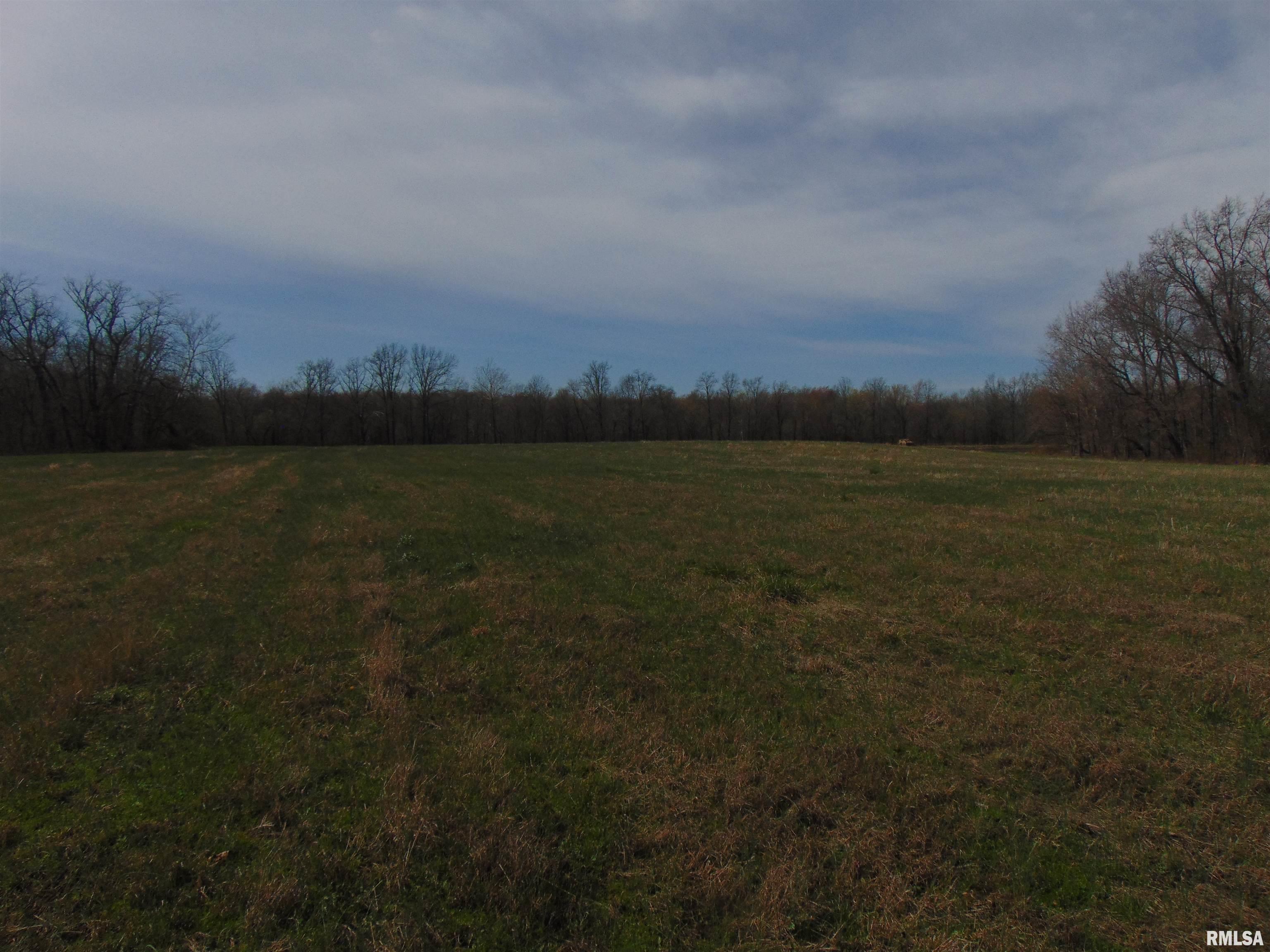 11339 Plumville Road Marion, IL 62959 - Photo 5 of 12