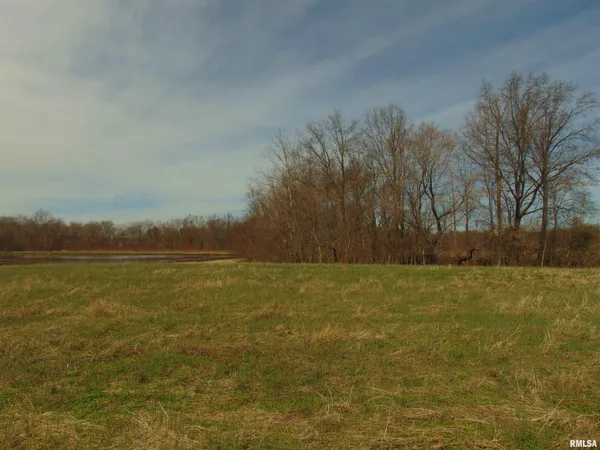 $220,000 | 11339 Plumville Road, Marion, IL 62959