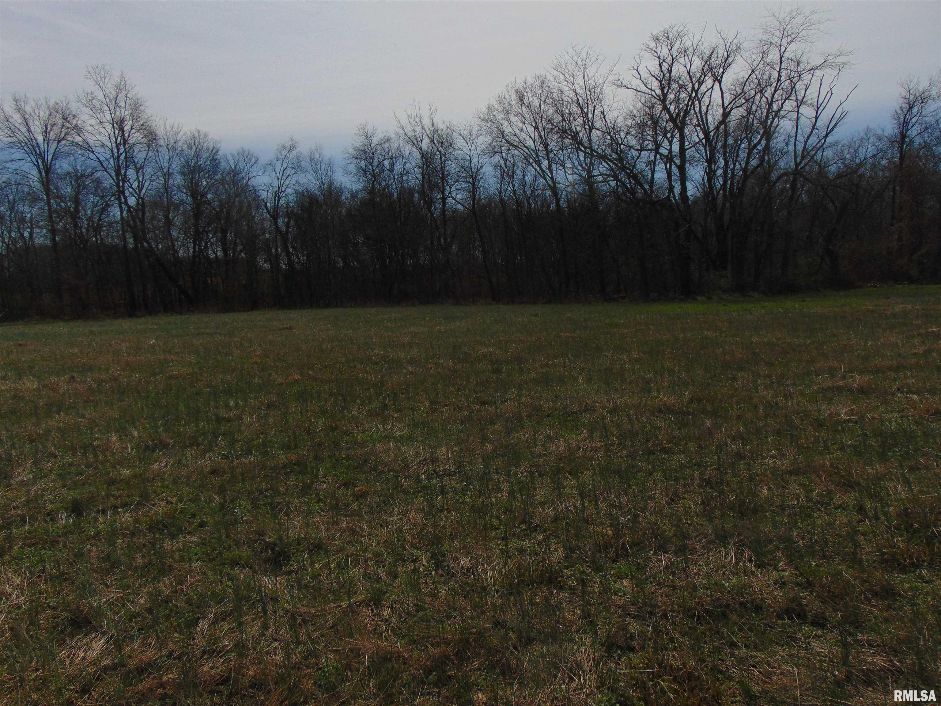 11339 Plumville Road Marion, IL 62959 - Photo 8 of 12