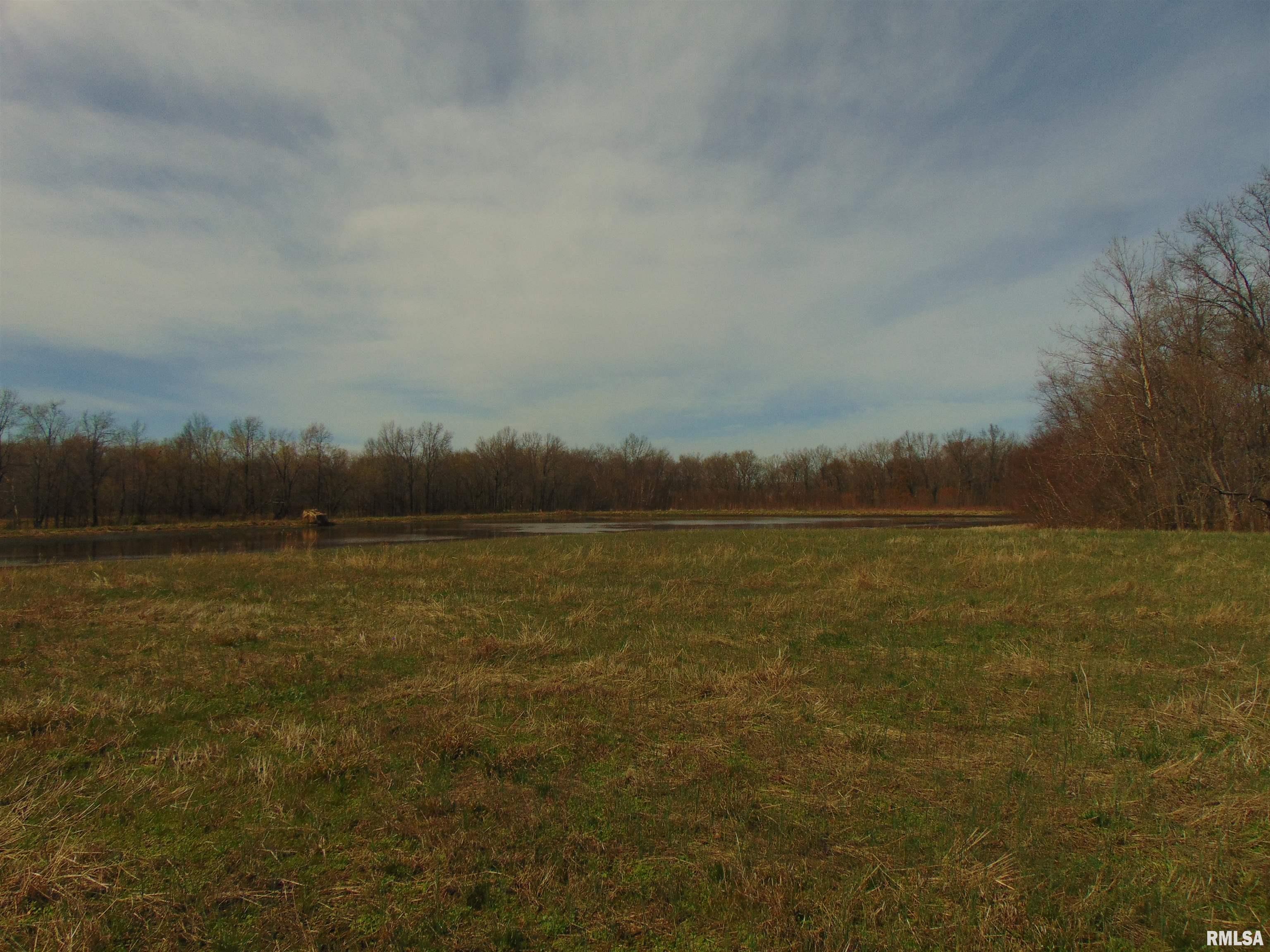 11339 Plumville Road Marion, IL 62959 - Photo 9 of 12