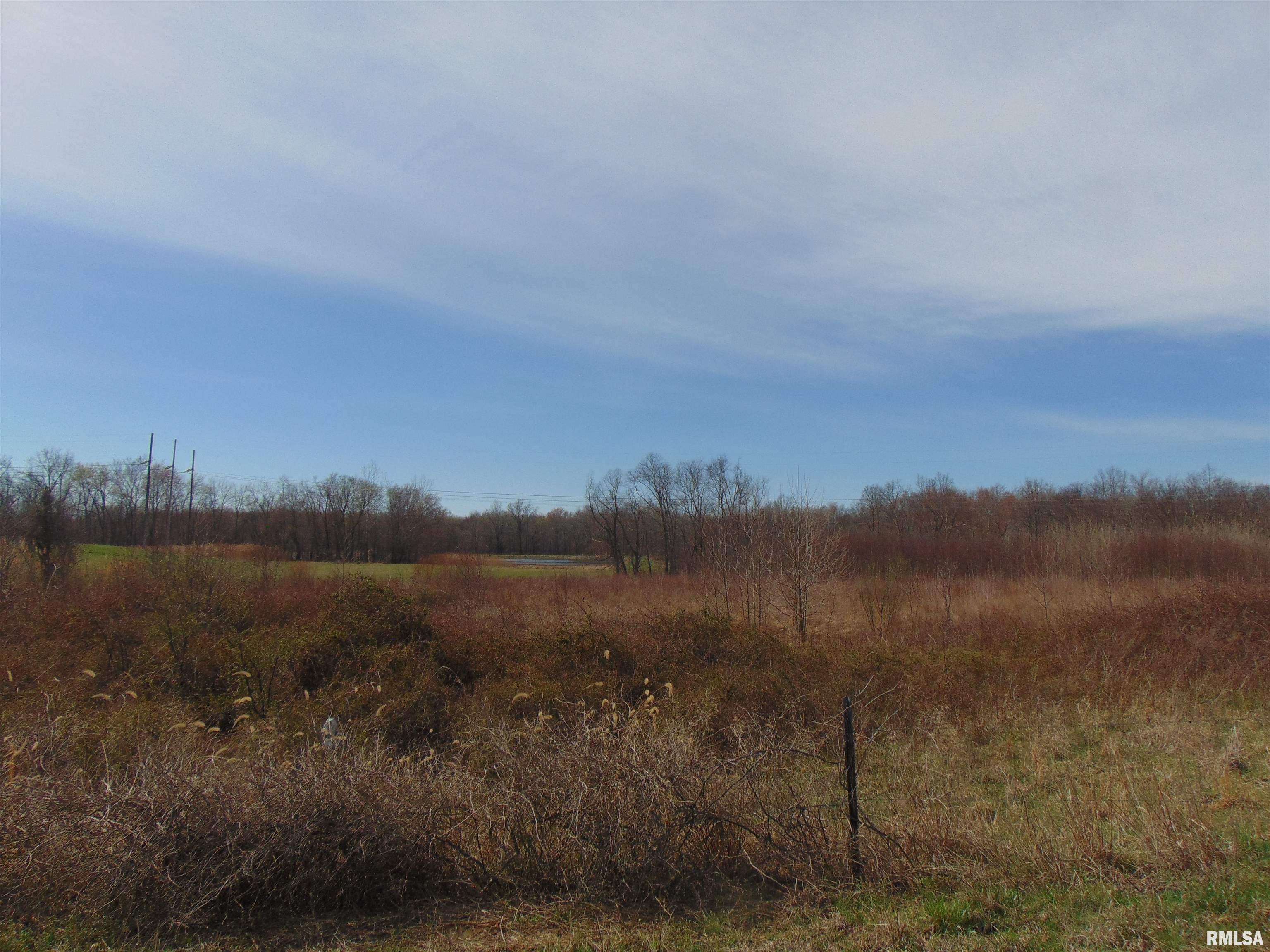 11339 Plumville Road Marion, IL 62959 - Photo 10 of 12