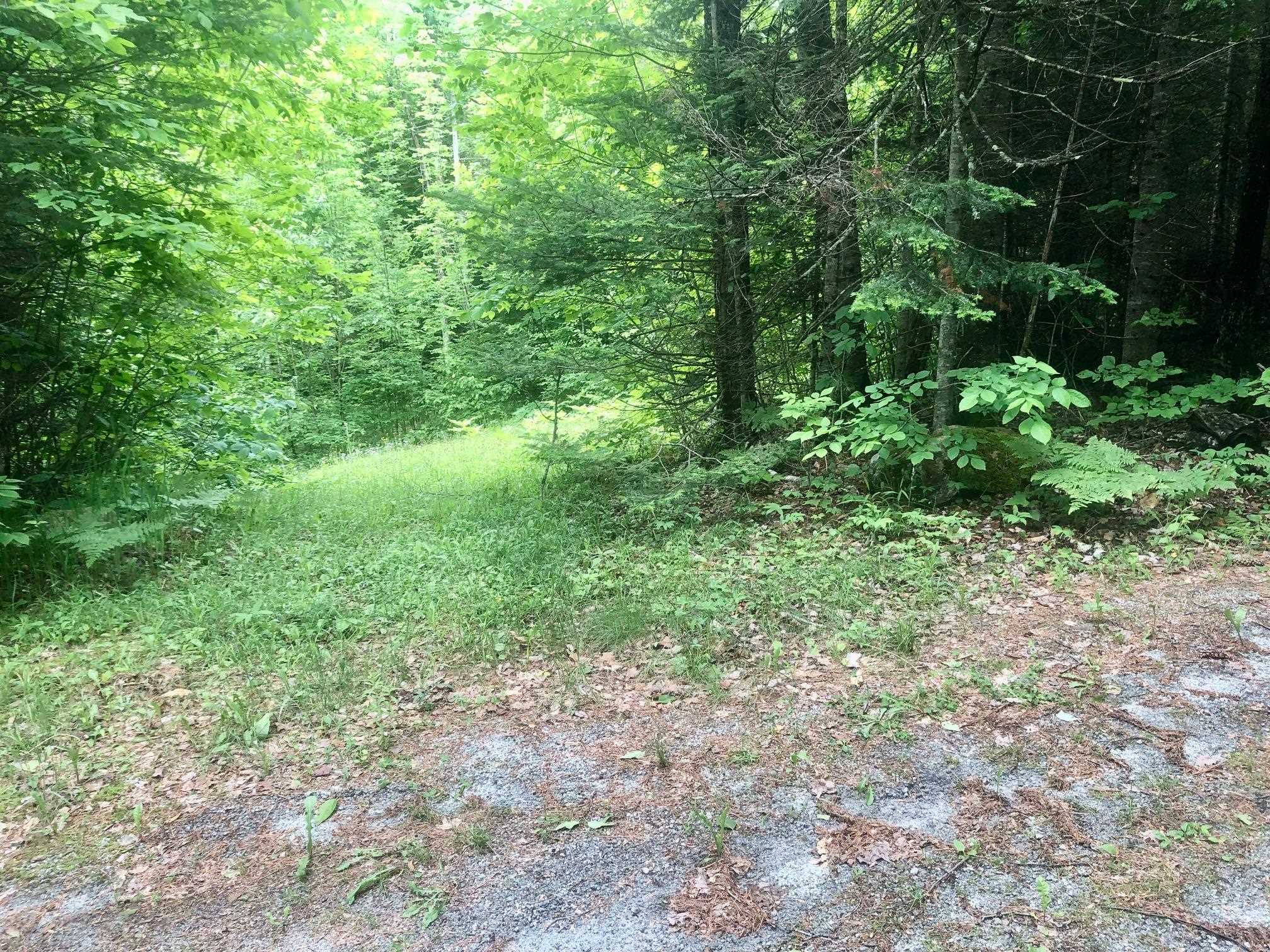1308 Powder Spring Road Groton, VT 05046 - Photo 7 of 20