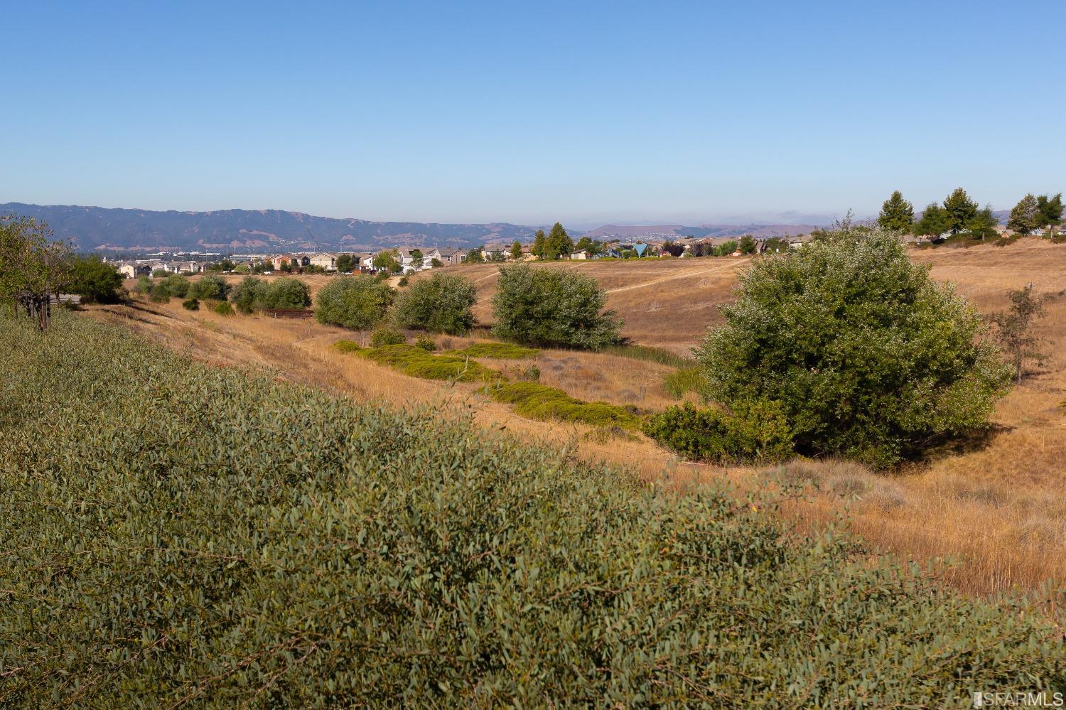 4456 Sunset View Drive Dublin, CA 94568 - Photo 12 of 40 a view of a lake in middle of forest