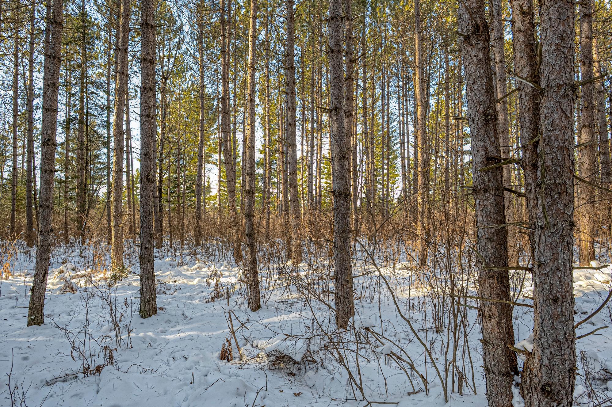 Off Deerskin Road, Unit LOT 5 Eagle River, WI 54521 - Photo 22 of 26 Gallery Image 22