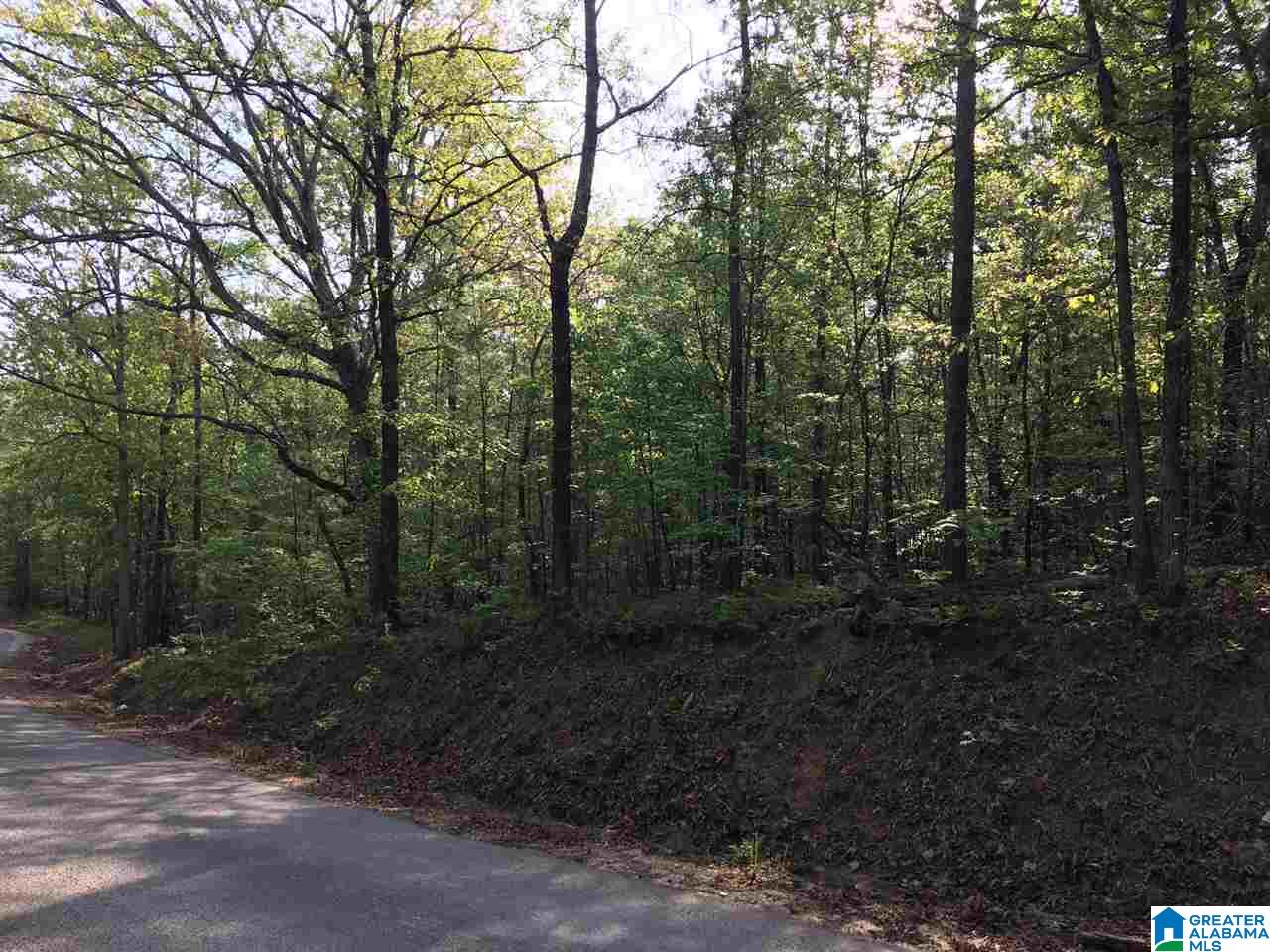 0 Lakeview Canyon Road, Unit 2 7 Ashville, AL 35953 - Photo 3 of 5