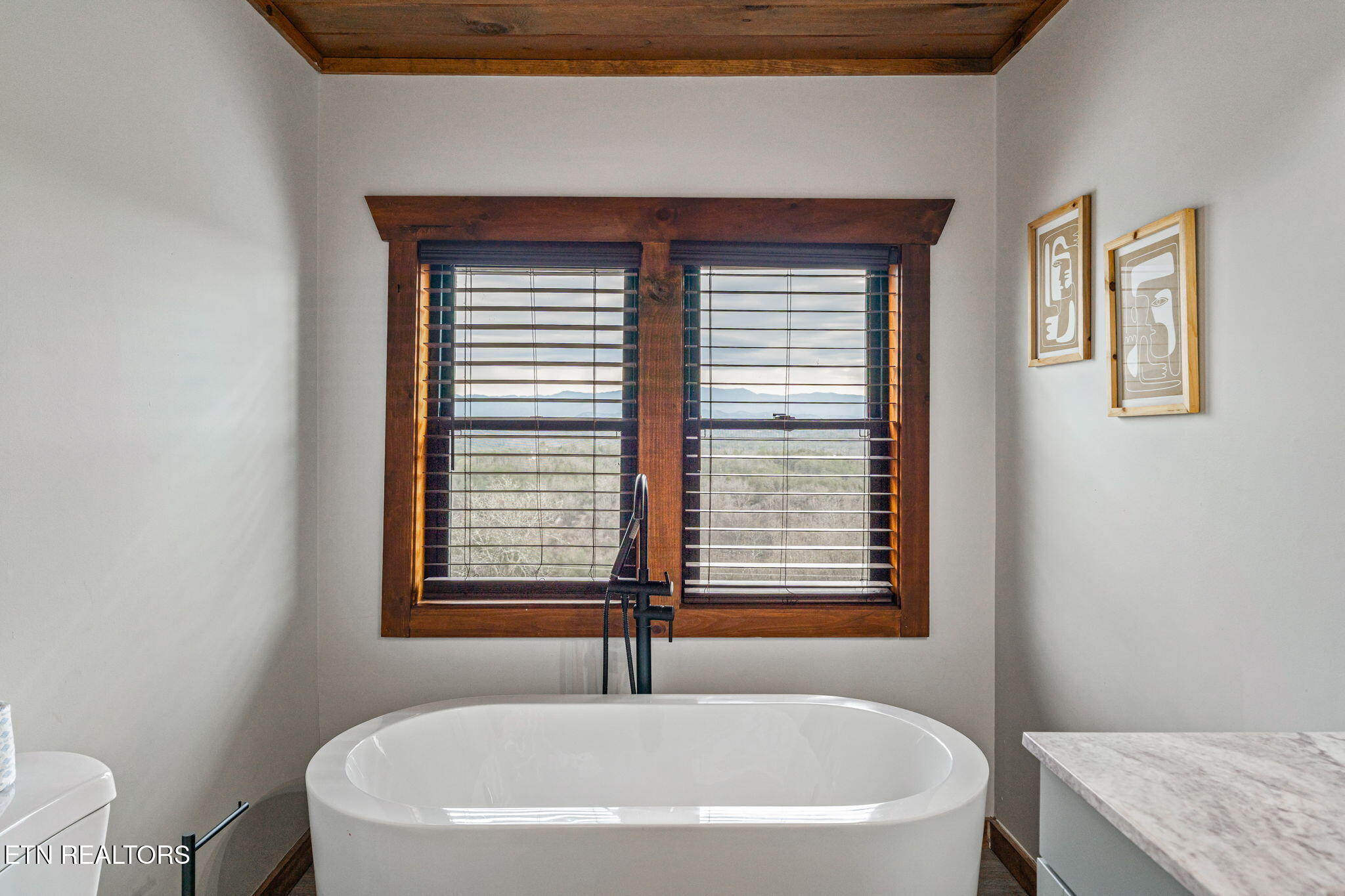 2138 Kerr Road Sevierville, TN 37876 - Photo 37 of 50 Tub