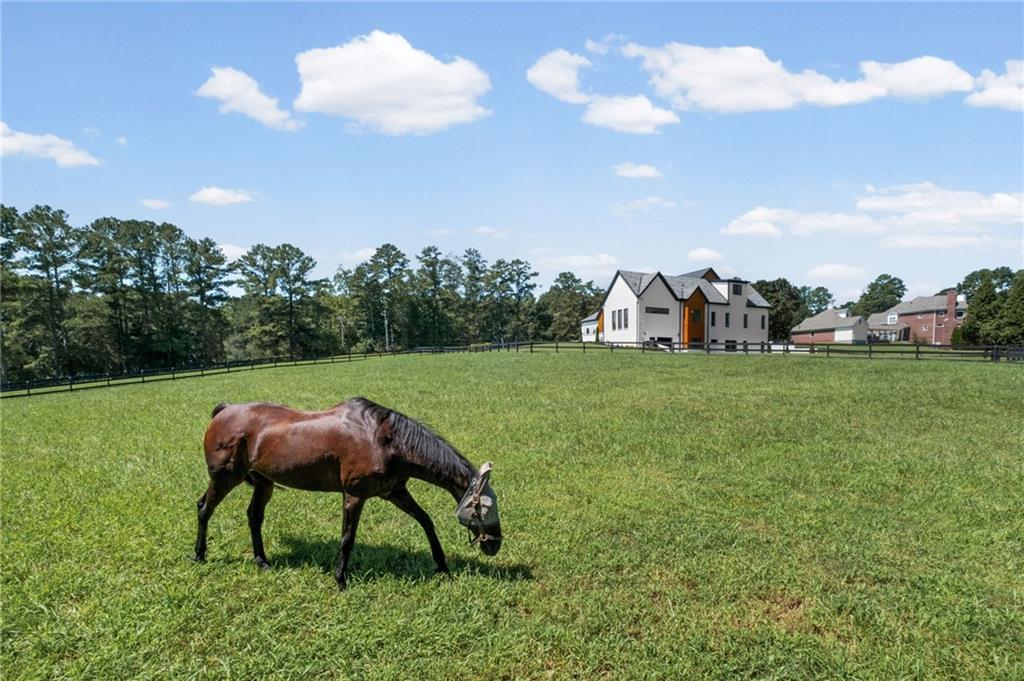 14735 Wood Road Milton, GA 30004 - Photo 87 of 112 Gallery Image 87
