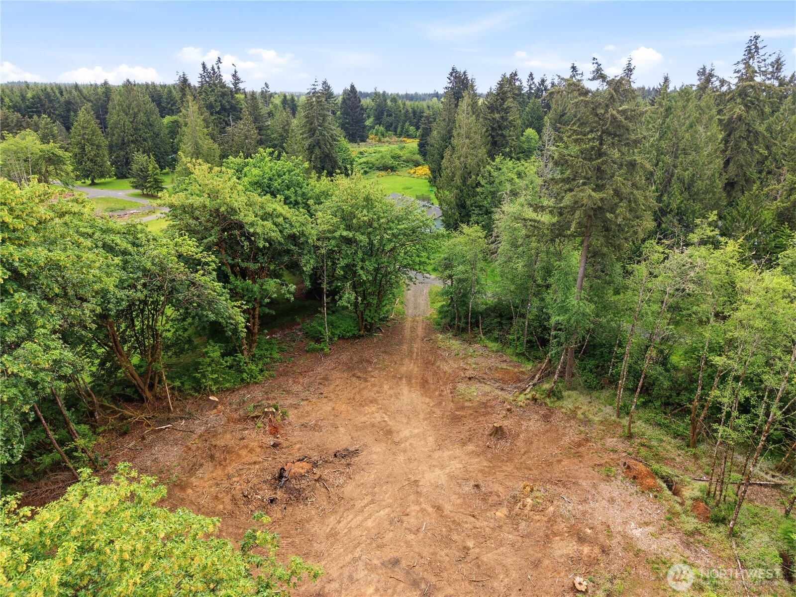 210 Vermillion Road Chehalis, WA 98532 - Photo 3 of 18 a view of a forest with trees in the background