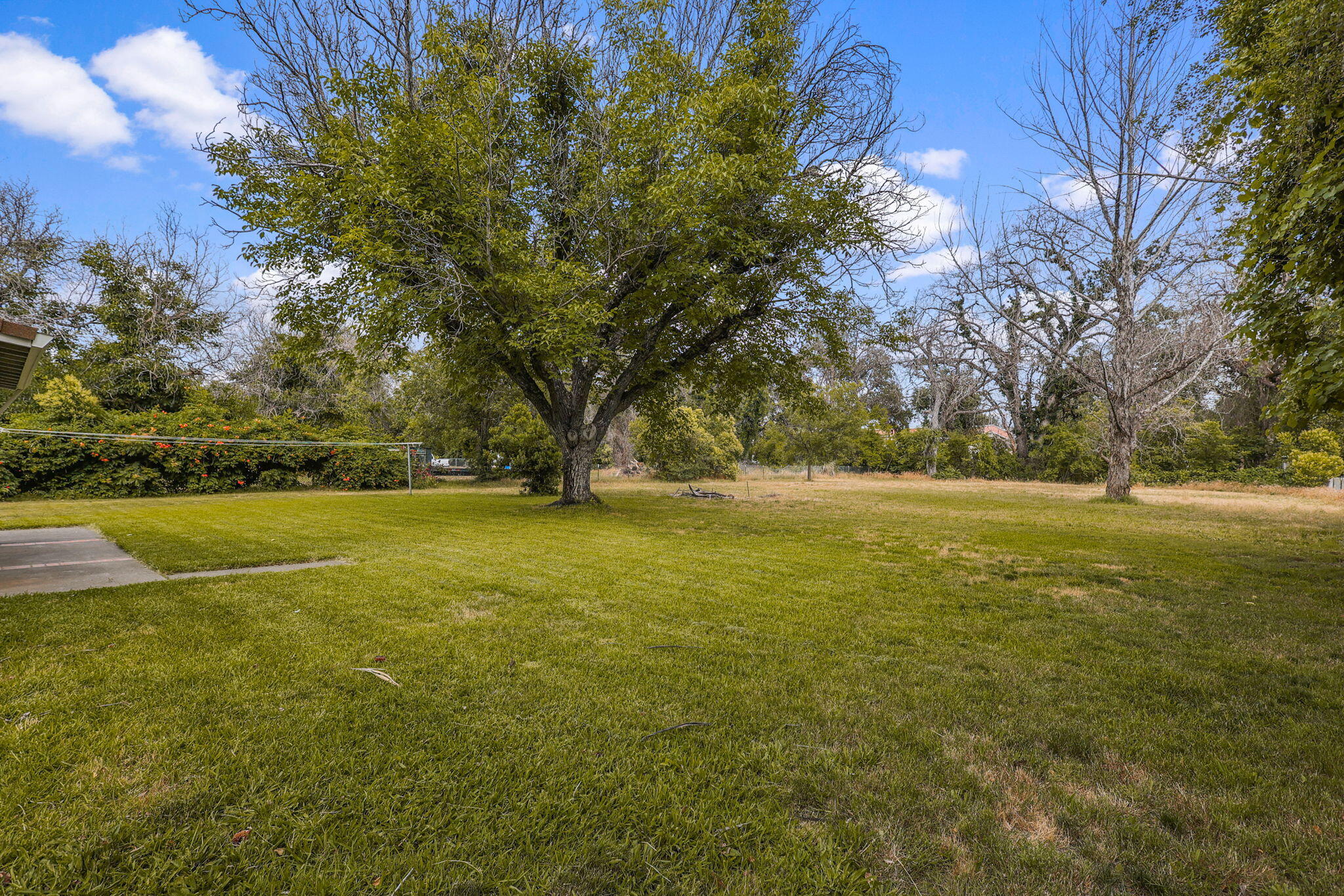 3071 Marmac Road Anderson, CA 96007 - Photo 28 of 28 Backyard