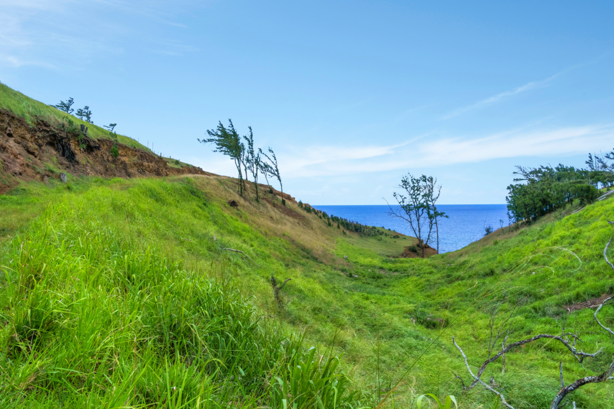 55-199 Hoea Road Hawi, HI 96719 - Photo 5 of 19