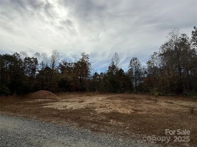 a view of a yard with trees in the background