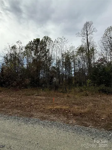 a view of a yard with a tree