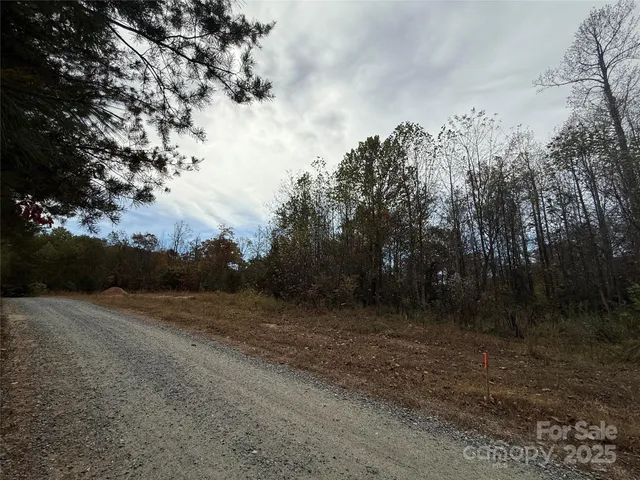 a view of a yard with a barn
