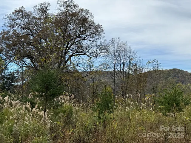 a view of a field with trees in background