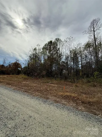 a view of outdoor space with trees