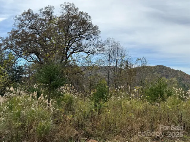 a view of a yard with trees in front of the house