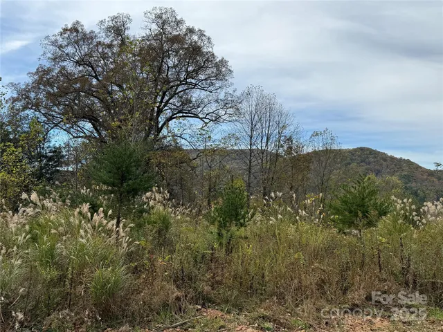 a view of a dry yard with mountains in the background