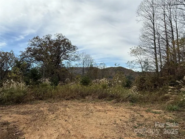 a view of a yard with trees in the background