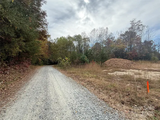 a view of a yard with a large trees