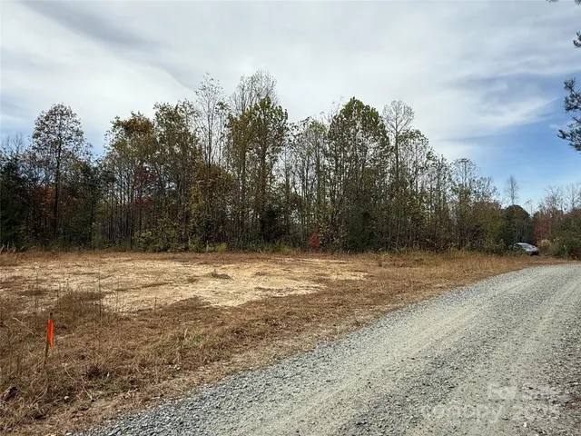 a view of a dry yard with trees