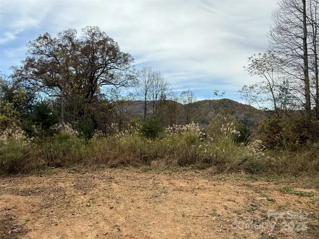 a view of a wooden floor