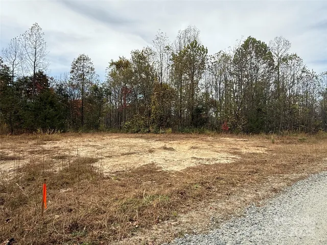 a view of a book shelf