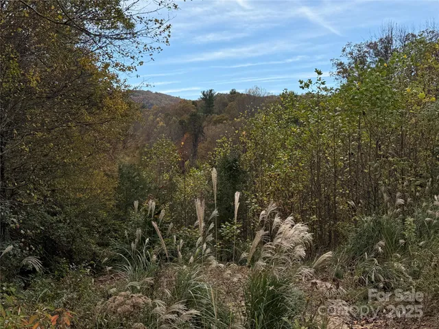 a view of a houses with a yard