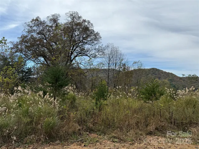 a view of a yard with a tree