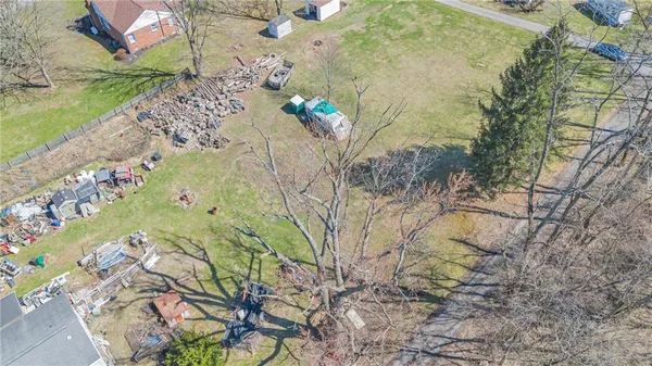 a plant view with bathtub in garden