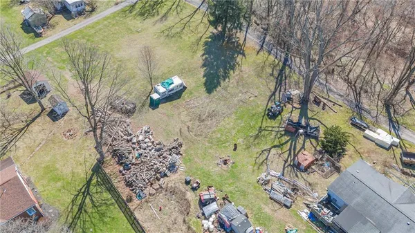 a view of a garden with a tree