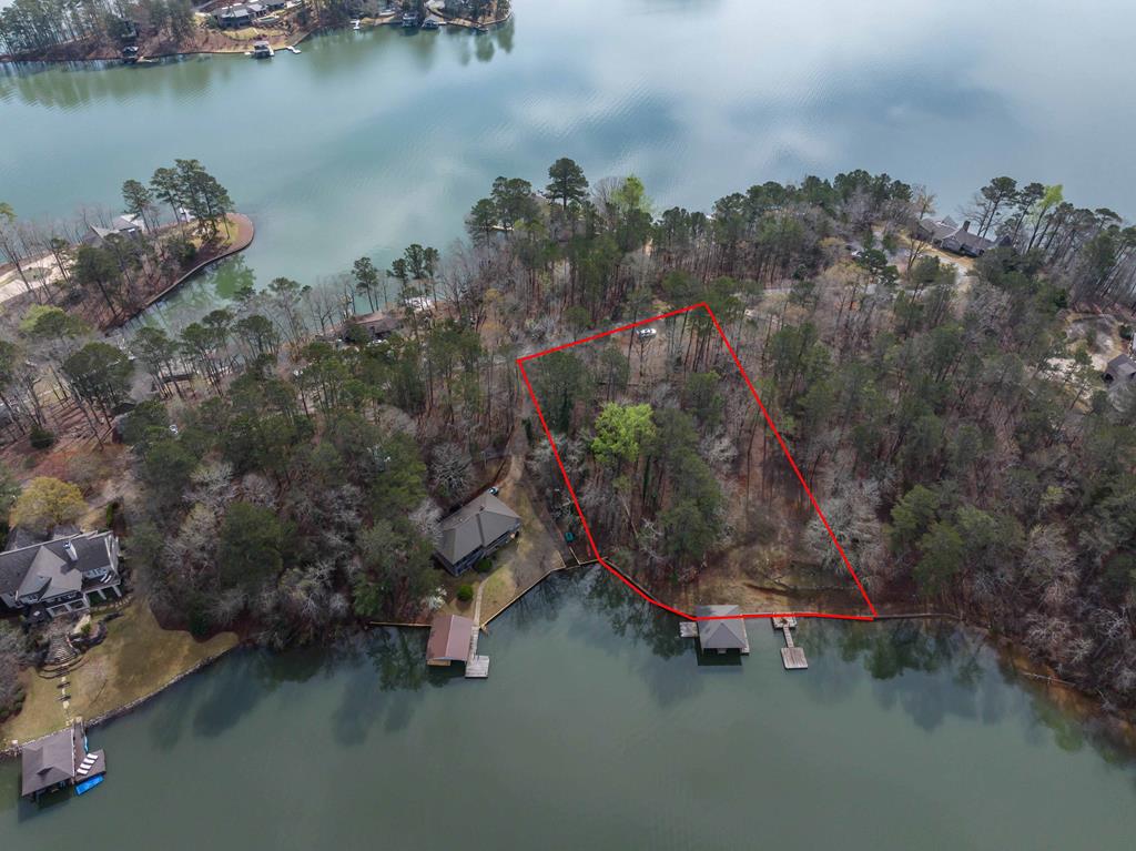 350 Pinetree Road Hamilton, GA 31811 - Photo 5 of 16 an aerial view of a houses with outdoor space and lake view