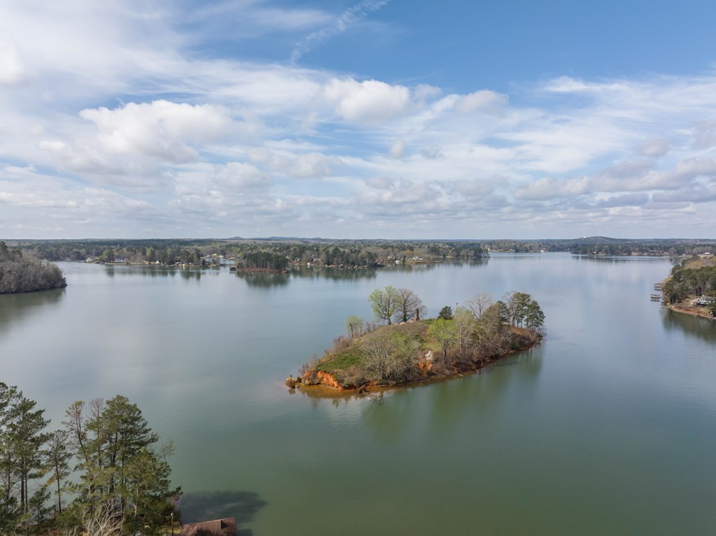350 Pinetree Road Hamilton, GA 31811 - Photo 6 of 16 a view of a lake with houses in the back