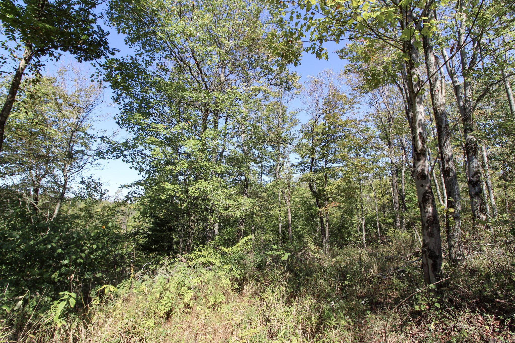 Lot 4 Moss Run Road Marietta, OH 45750 - Photo 9 of 14