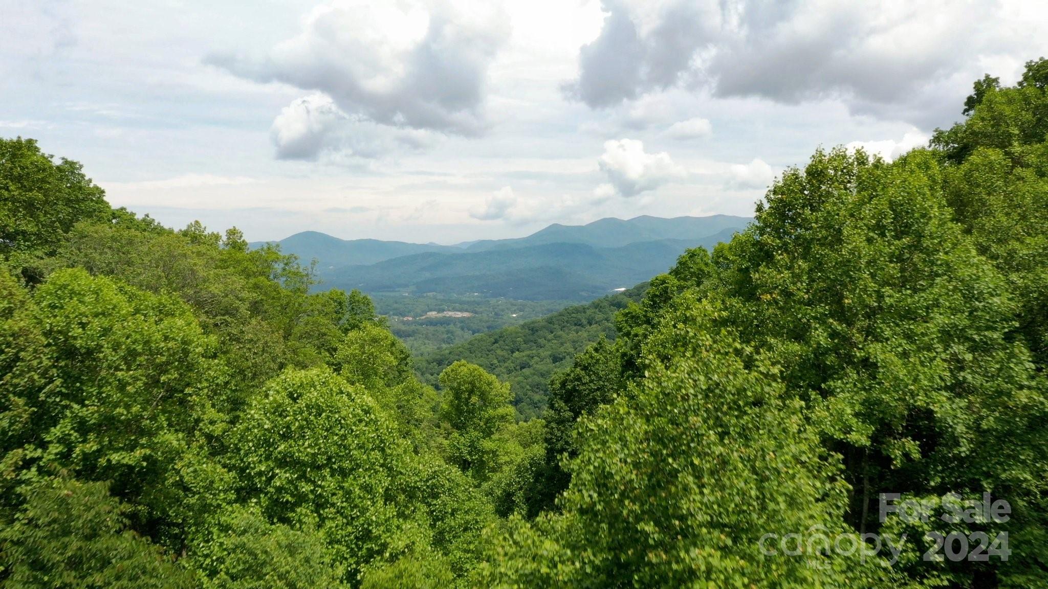 62 Will Campbell Road Swannanoa, NC 28778 - Photo 39 of 41 Gallery Image 39