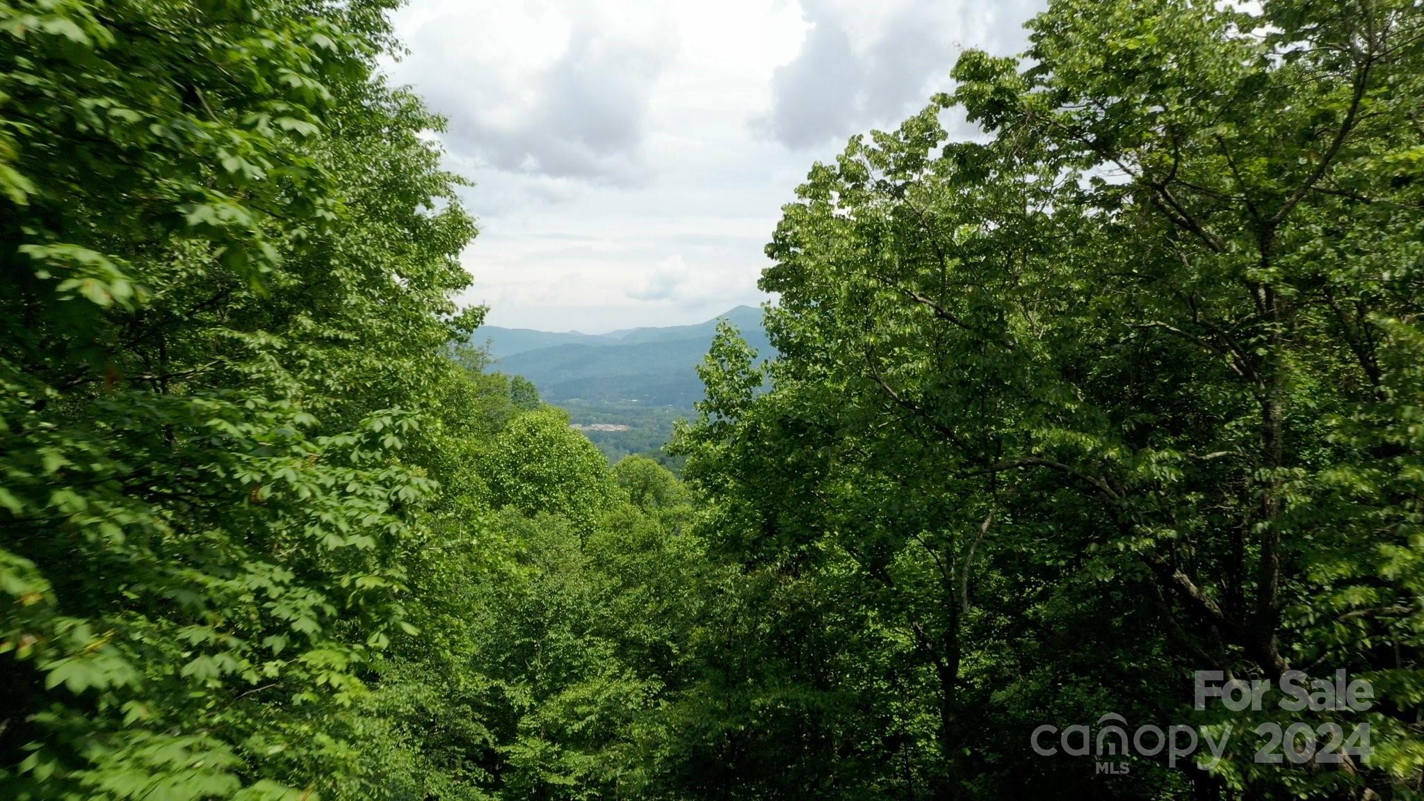62 Will Campbell Road Swannanoa, NC 28778 - Photo 40 of 41 Gallery Image 40