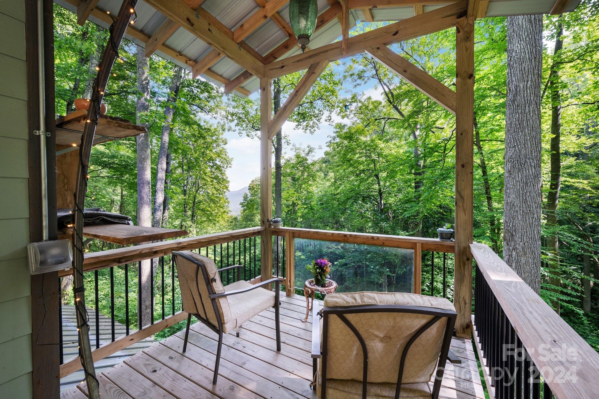 62 Will Campbell Road Swannanoa, NC 28778 - Photo 4 of 41 Gallery Image 4