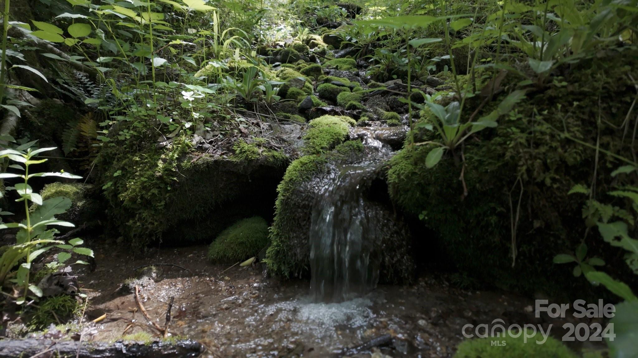 62 Will Campbell Road Swannanoa, NC 28778 - Photo 41 of 41 Gallery Image 41