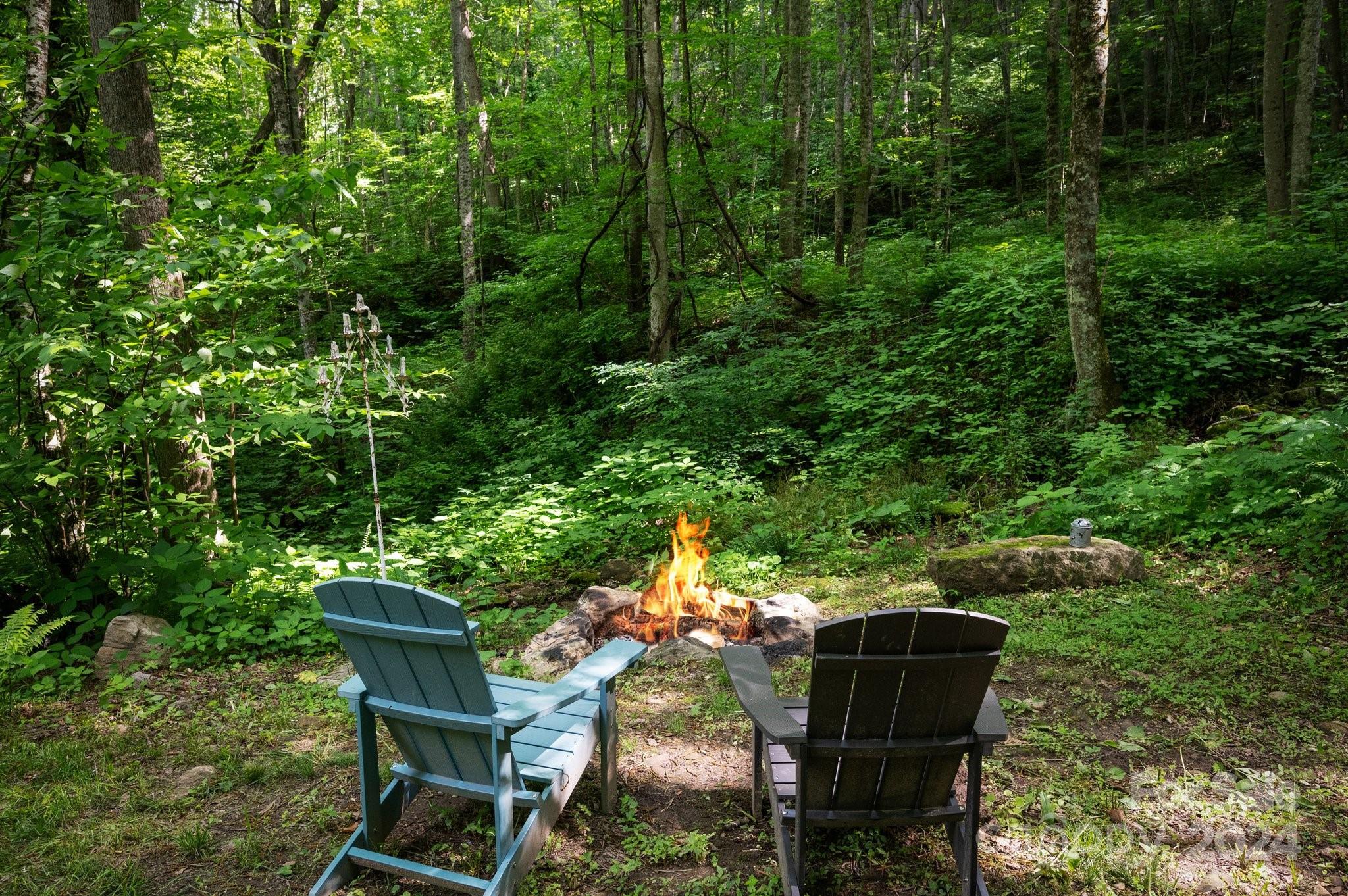 62 Will Campbell Road Swannanoa, NC 28778 - Photo 6 of 41 Gallery Image 6